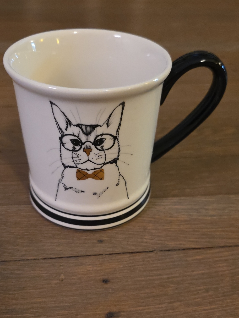 Clay Art Cat Illustration Mug with Black Handle